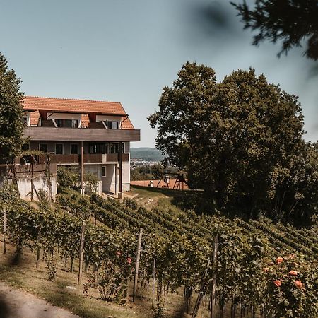 Weingut Assigal Villa Leibnitz Exterior photo