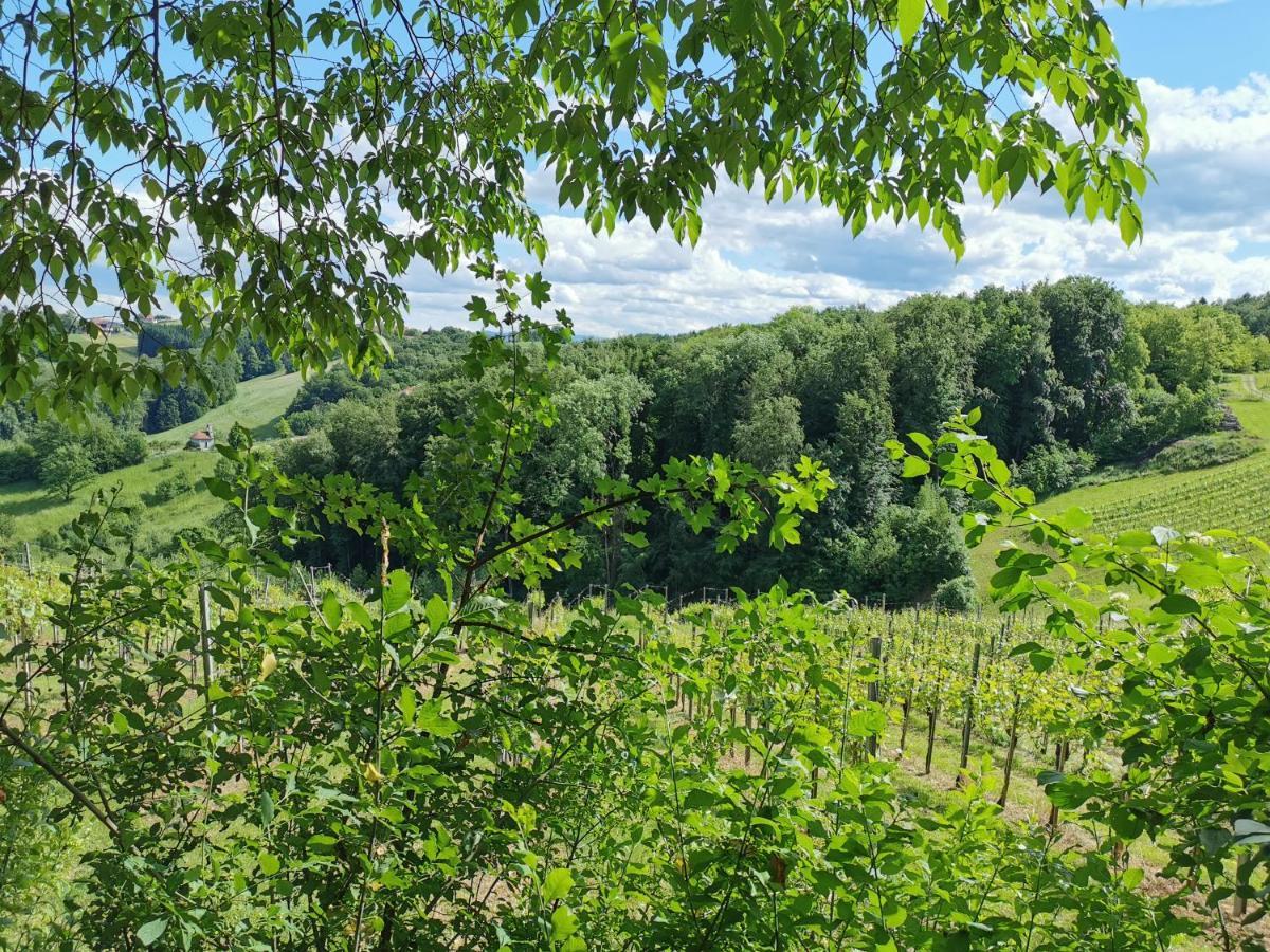 Weingut Assigal Villa Leibnitz Exterior photo