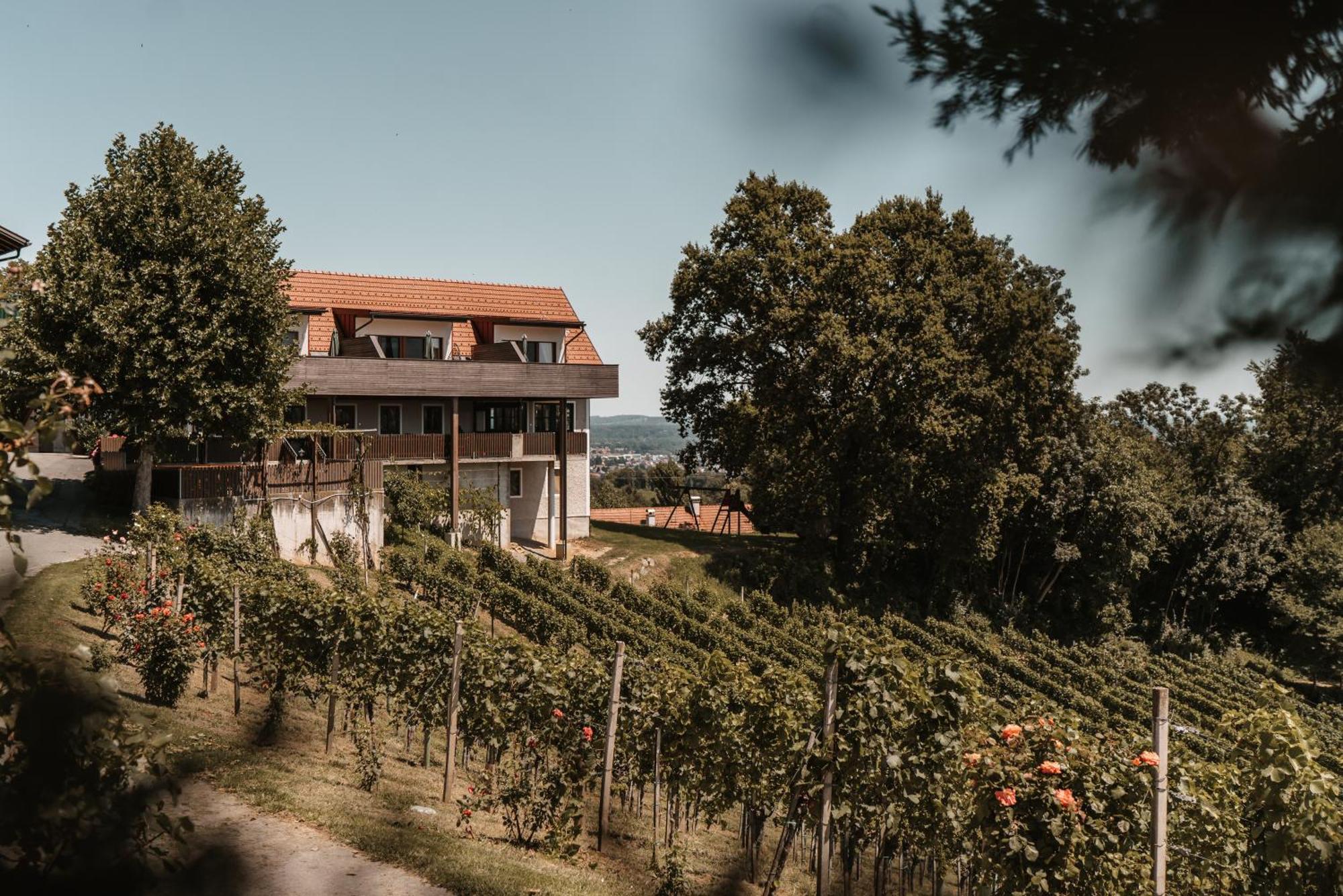 Weingut Assigal Villa Leibnitz Exterior photo